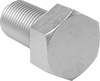 Stainless Steel Hex Head Screws