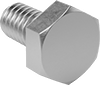 Hex Head Screws