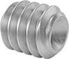 Set Screws
