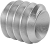 Stainless Steel Cup-Tip Set Screws