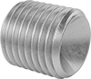 Stainless Steel Cup-Tip Set Screws