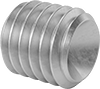 Stainless Steel Cup-Tip Set Screws