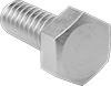Hex Head Screws
