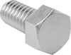 Hex Head Screws