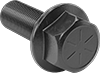 Steel Flanged Hex Head Screws