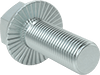 Steel Serrated-Flange Hex Head Screws