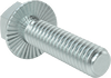 Steel Serrated-Flange Hex Head Screws