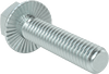 Steel Serrated-Flange Hex Head Screws