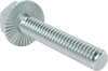 Steel Serrated-Flange Hex Head Screws