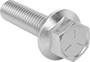 Image of Product. Front orientation. Hex Head Screws. Steel Serrated-Flange Hex Head Screws.