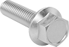 Image of Product. Front orientation. Hex Head Screws. Steel Serrated-Flange Hex Head Screws.
