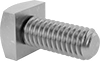 Square Head Screws