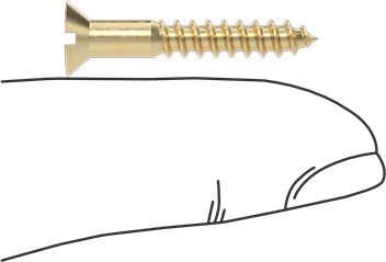 Image of Product. Side1 orientation. Contains SizingReference. Brass Slotted Flat Head Screws for Wood, Number 7 Size, 1" Long.