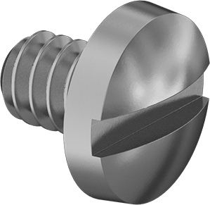 Image of Product. Front orientation. Brass Binding Head Slotted Screws, 6-32 Thread Size, 3/16" Long.