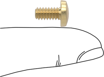 Image of Product. Side1 orientation. Contains SizingReference. Brass Binding Head Slotted Screws, 10-24 Thread Size, 3/8" Long.