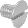 Brass Slotted Flat Head Screws