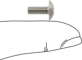 Image of Product. Side1 orientation. Contains SizingReference. 18-8 Stainless Steel Truss Head Phillips Screws, M4 x 0.7 mm Thread Size, 10 mm Long.
