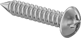 Image of Product. Front orientation. Tapping Screws. Steel Phillips Rounded Head Screws for Sheet Metal.