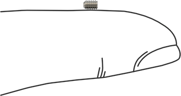 Image of Product. Side1 orientation. Contains SizingReference. Stainless Steel Flat-Tip Set Screw, Super-Corrosion-Resistant 316, M2 x 0.4 mm Thread, 3 mm Long.