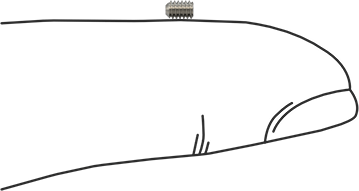 Image of Product. Side1 orientation. Contains SizingReference. Stainless Steel Flat-Tip Set Screw, Super-Corrosion-Resistant 316, M2 x 0.4 mm Thread, 3 mm Long.