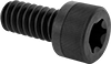 Socket Head Screws