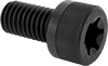 Socket Head Screws