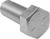 Hex Head Screws