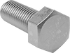 Hex Head Screws