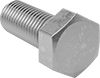 Steel Hex Head Screws