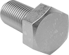 Hex Head Screws