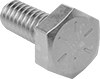 Hex Head Screws