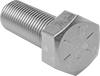 Hex Head Screws