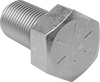 Hex Head Screws