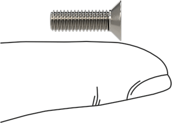 Image of Product. Side1 orientation. Contains SizingReference. 18-8 Stainless Steel Torx Flat Head Screws, M5 x 0.8 mm Thread Size, 16 mm Long.
