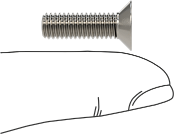 Image of Product. Side1 orientation. Contains SizingReference. 18-8 Stainless Steel Torx Flat Head Screws, M6 x 1 mm Thread Size, 20 mm Long.