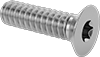 Flat Head Screws