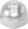 Cap Nuts