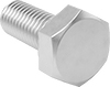 Aluminum Hex Head Screws