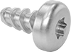 Stainless Steel Torx Rounded Head Thread-Forming Screws for Plastic