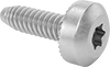 Strip-Resistant Steel Torx Rounded Head Screws for Sheet Metal