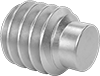 Stainless Steel Extended-Tip Set Screws