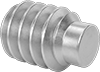 Stainless Steel Extended-Tip Set Screws