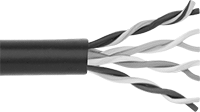 Image of Product. Front orientation. Ethernet Cable. Oil-Resistant Ethernet Cable , Unshielded.