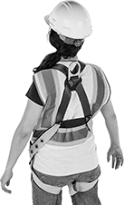 Image of ProductInUse. Back orientation. Fall-Arrest Harnesses. Fall-Arrest Harnesses with Lanyards.