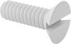 Flat Head Screws