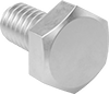 Hex Head Screws