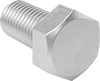 Brass Hex Head Screws