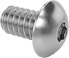 Rounded Head Screws