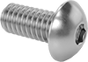 Rounded Head Screws