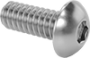 Rounded Head Screws